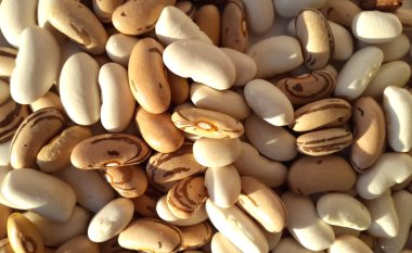 Satılık kahverengi ve beyaz fasulye