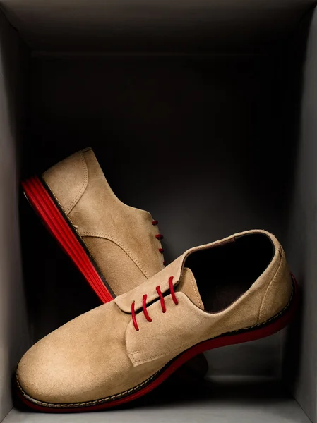 Férfi cipő, dobozban Stock Kép