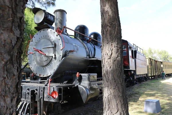 Train National Museum Mexican Railways — Stock Photo, Image