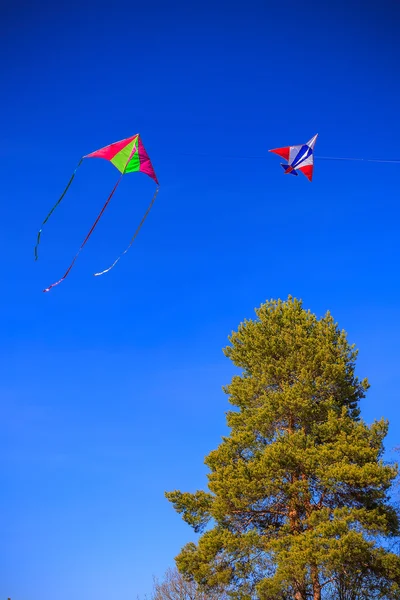 Two kite in the blue sky — Stock Photo, Image