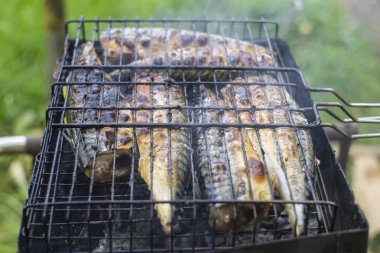 balık ızgara şiş. Balık üzerinde odaklanmak