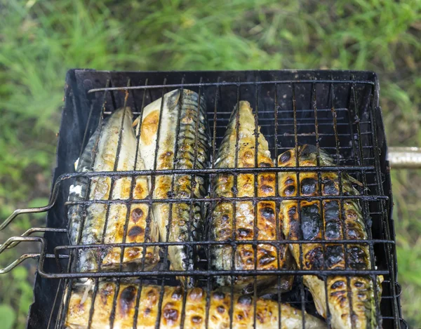 グリルでの魚の串焼き — ストック写真