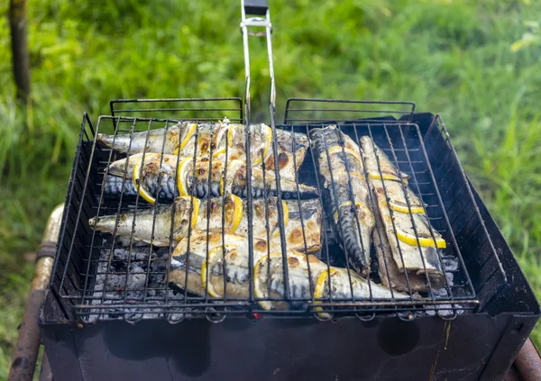 Grillspett av fisk på grillen — Stockfoto