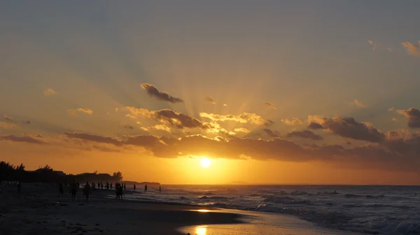 Sunset on the beach near the ocean — Stock Photo, Image