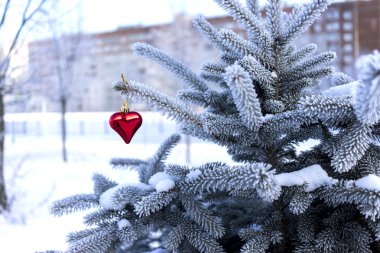 Noel oyuncaklar Noel ağacı bahçede