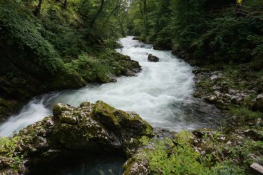 Kanlı Vintgar Vadisi 'nin öfkeli suları