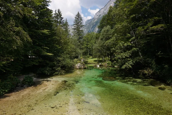 Slovenya Nın Yeşil Sularında Güzel Bir Yansıma Slovenya 2020 — Stok fotoğraf