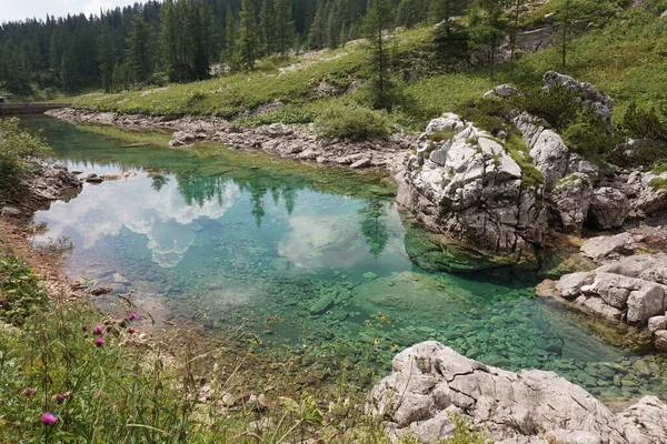 Doğal Bir Göletin Yansıması Seven Lakes Valley Yürüyüşü Slovenya 2020 — Stok fotoğraf