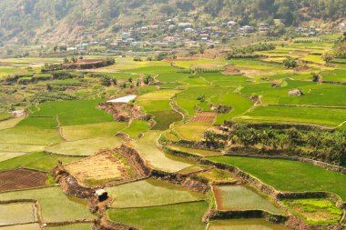 Sagada, Luzon, Filipinler 'in dışındaki Kapay-Aw pirinç teraslarının muhteşem manzarası.