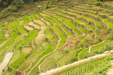 Köyün üstündeki pirinç terasları, tarlaları, tarlaları, Batad kasabası, Banaue, Luzon, Filipinler yakınlarındaki 2024