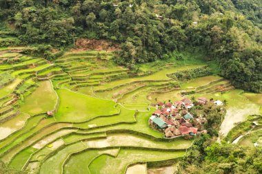 Bangaan köyü ve pirinç terasları, çevresindeki tarlalar, Banaue, Luzon, Filipinler 2024 'e yakın.