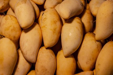 yakın plan sarı mango meyvesi, Tayland pazarında satılıyor, tropikal meyve.