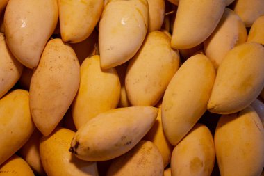 yakın plan sarı mango meyvesi, Tayland pazarında satılıyor, tropikal meyve.