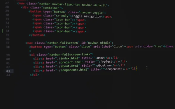 Розробник Python Java Скрипт Html Css Вихідний Код Екрані Монітора — стокове фото
