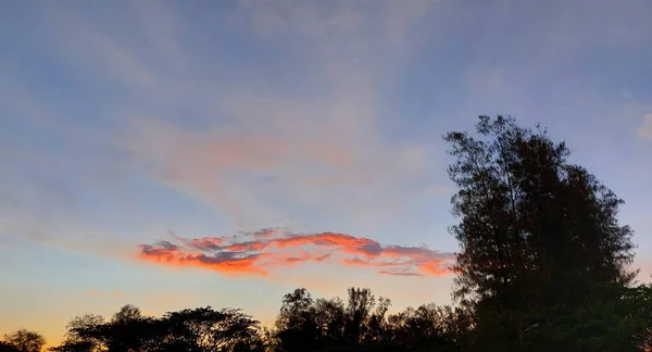 Schöner Sonnenuntergang Mit Blauem Himmel Und Kiefernlandschaft — Stockfoto