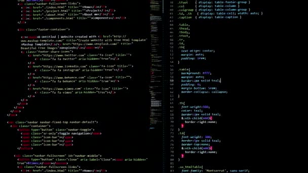 Programador Software Php Python Java Script Código Fonte Html Tela — Vídeo de Stock