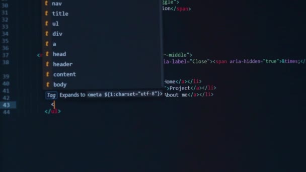 Software Desarrollador Php Python Java Script Código Fuente Html Pantalla — Vídeo de stock