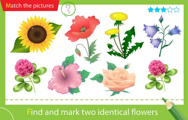 Find and mark two identical items. Puzzle for kids. Matching game, education game for children. Color images of summer field flowers. Dandelion, bluebell or bellflower, clover, poppy, rose, sunflower. Worksheet for preschoolers
