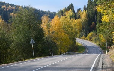 Beyaz 5D araba yolda..