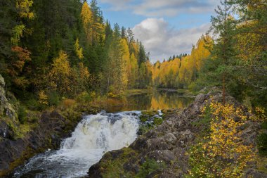 Beyaz 5D araba yolda..