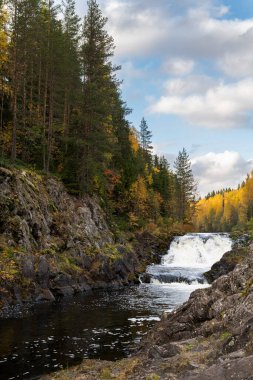 Beyaz 5D araba yolda..