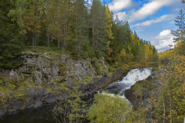 Beyaz 5D araba yolda..