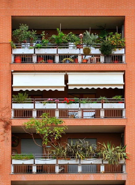 Balconies decorated with flowers