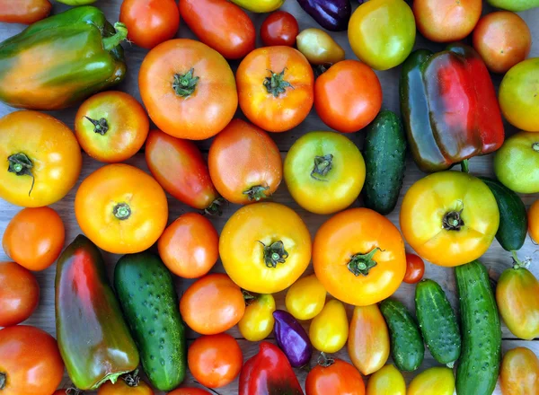 Tomates, concombres, poivrons doux fond — Photo