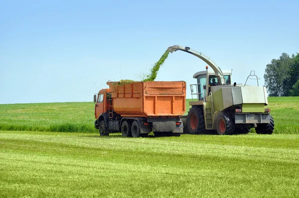 Two cars harvested grass — Stock Photo, Image