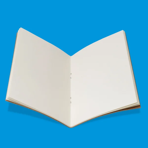 Açılan Sketchbook