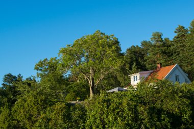 Tipik Norveç sahil evi