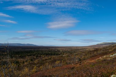 Norveç dağ güzel sonbahar renkleri