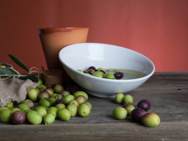 zeytin ve yağı