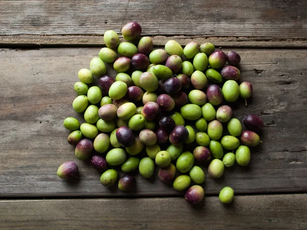 Aceite de oliva y aceitunas —  Fotos de Stock