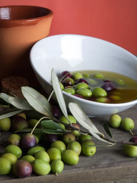 Oliwek i oliwy — Zdjęcie stockowe