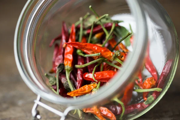 Pimientos rojos picantes — Foto de Stock