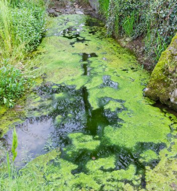 Kanalının bir sulama sistemi