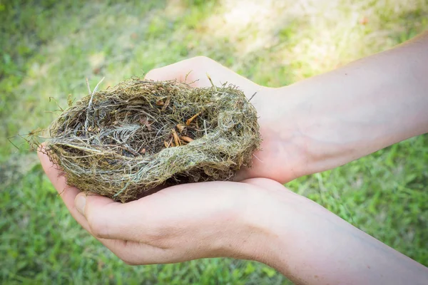 Careful female hands holding a bird nest