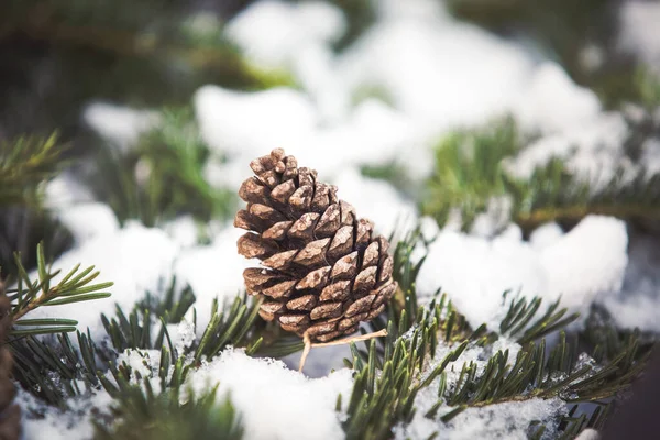 Fondo Decoración Navidad Felices Vacaciones Invierno —  Fotos de Stock