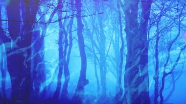 Sihirli orman perisi ışıkları arka plan