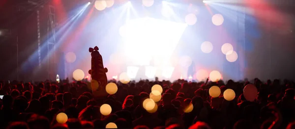 Summer Music Festival Concert Crowd — Stock Photo, Image