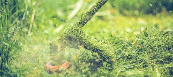 Memotong Rumput Dengan Mesin Pemotong Rumput Genggam Profesional — Stok Foto