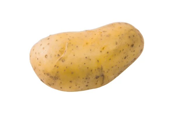 Verse aardappel geïsoleerd op witte achtergrond — Stockfoto