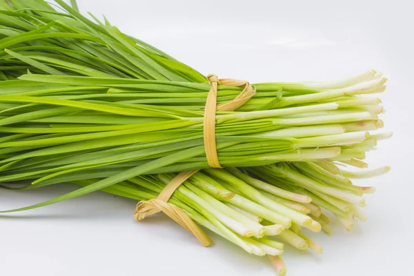 taze yeşil sarımsak chives sebze, beyaz sarımsak chives