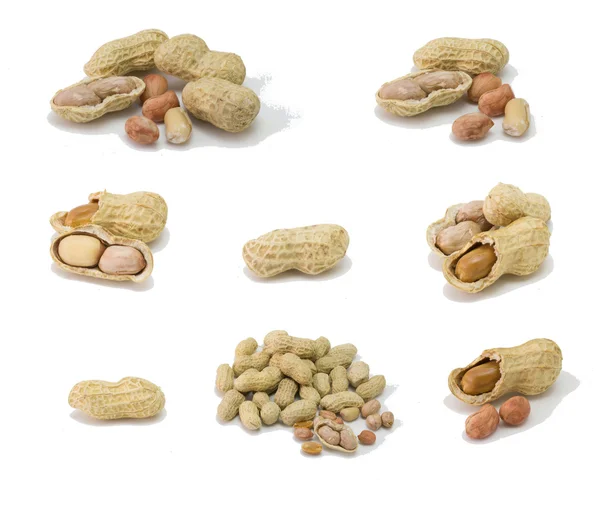 Peanut isolated on white, groundnut ,dry peanut — Stock Photo, Image