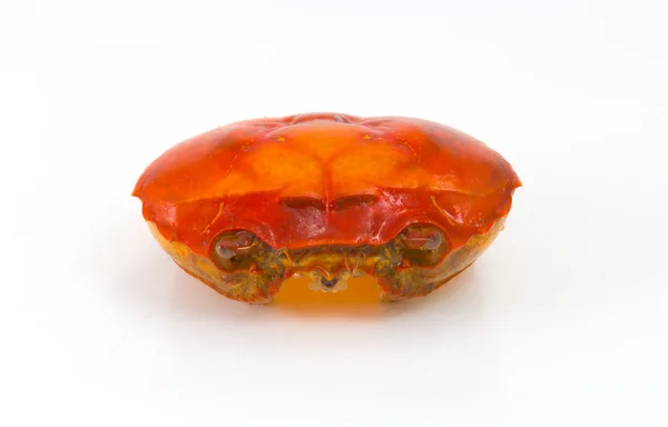 Coquille de crabe bouillie isolée sur blanc — Photo