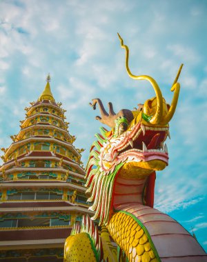 Pagoda Wat Huay pla kang chiang Rai, Thaila ejderha heykeli