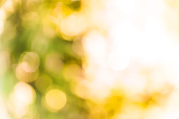 Yellow abstract bokeh background Stock Photo