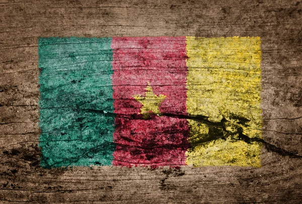 Bandeira dos Camarões pintada sobre fundo de madeira — Fotografia de Stock