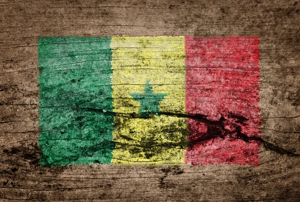 Bandeira do Senegal pintada sobre fundo de madeira — Fotografia de Stock